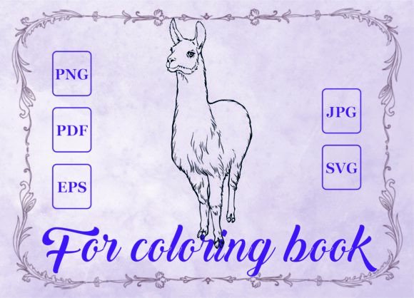 Llama Graphics for Coloring Pages and Creative Products