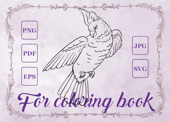 Parrot Vector Coloring Book: Graphics & Coloring Pages Amp