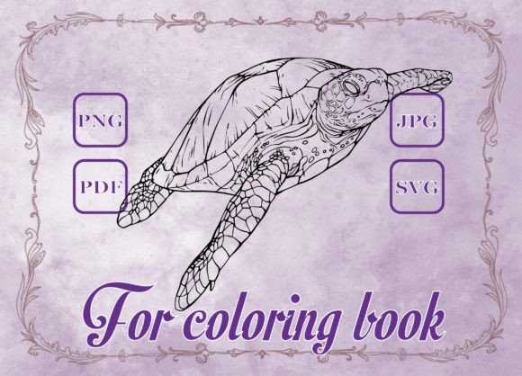 Turtle Adult Coloring Book: Graphics & Coloring Pages Amp Review